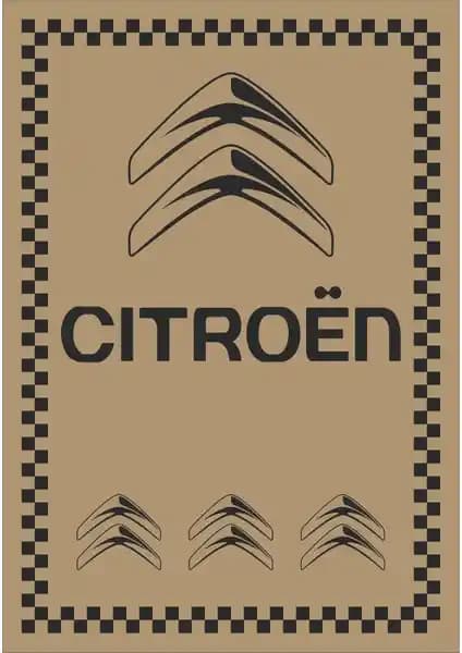 Murat Kağıt Oto Paspas: Citroen Araçlar İçin Pratik ve Ekonomik Temizlik Çözümü