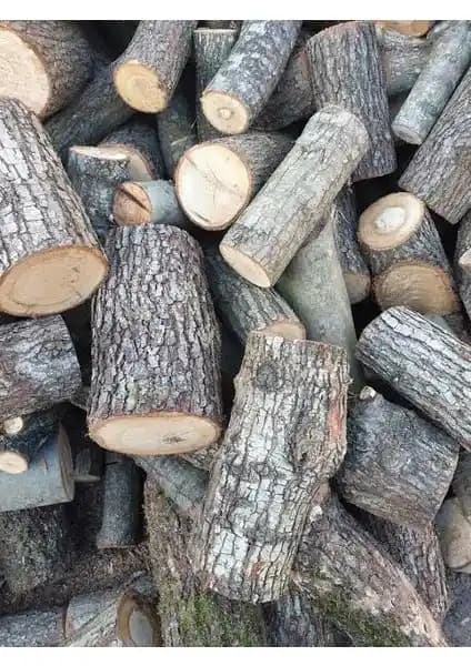 Özkayalar Meşe Odunu: Doğal ve Uzun Süreli Isınma İçin Güvenilir Seçenek