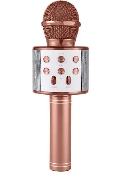 Blupple WS-858 ve Tatu Handheld Ktv Karaoke Mikrofonlarının Karşılaştırması 1
