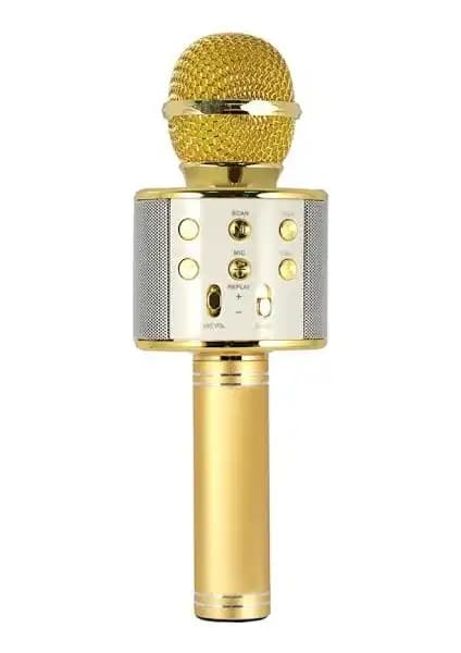 Evervox EVR KRK 02 ve Tatu KTV Mikrofonları Karşılaştırması: Özellikler ve Kullanıcı Yorumları 1