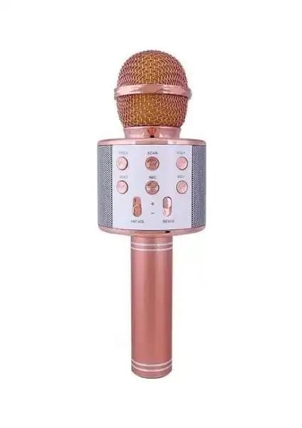 Evervox EVR KRK 02 ve Tatu WS-858 Karaoke Mikrofonlarının Karşılaştırması 1