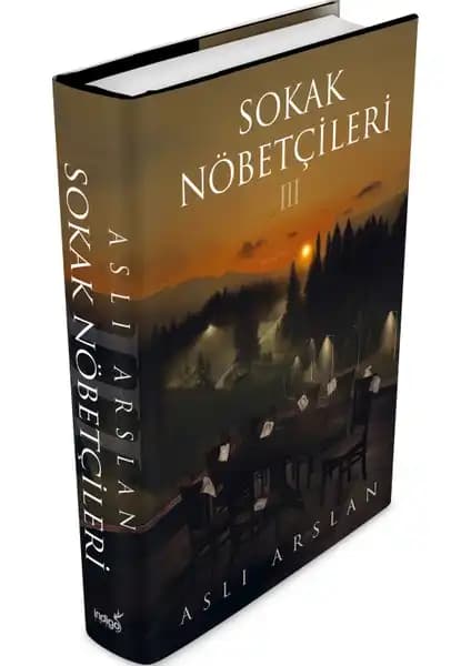 İndigo Kitap Aslı Arslan Sokak Nöbetçileri ve Ciltli Serisinin Karşılaştırması 2