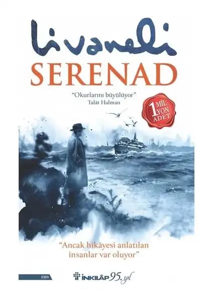 Kardeşimin Hikayesi ve Serenad Romanlarının Tematik ve Edebi Karşılaştırması 2