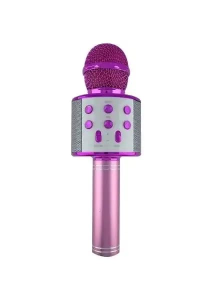 Ninova Technology ve Tatu Handheld KTV Karaoke Mikrofon Karşılaştırması 2