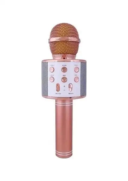 OKMORE ve PolyGold Kareoke Mikrofonları Karşılaştırması: Hangi Ürün İhtiyaçlarınıza Uygun 1
