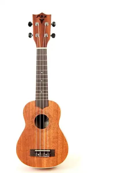 Phx UKP-21NA ve Rosa RU002-BK Soprano Ukulele Modellerinin Detaylı Karşılaştırması 1