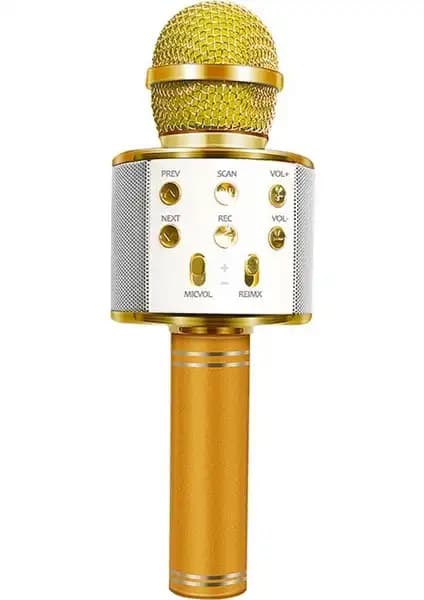 PolyGold PG-116 WS858 ve Tatu WS-858 Mikrofonları Karşılaştırması 2