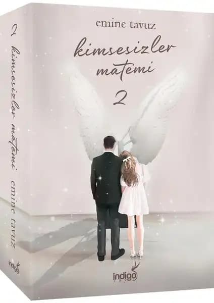 Ren Kitap ve İndigo Kitap Karşılaştırması: İki Duygusal Romanın Detaylı Analizi 2