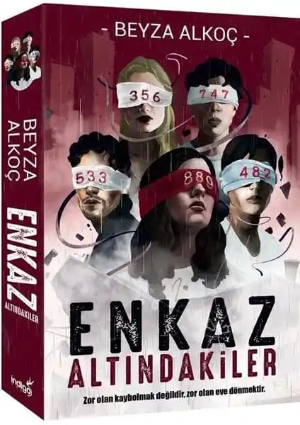 Türk Romanları: Beyza Alkoç ve Aslı Arslan'ın Eserleri Arasındaki Karşılaştırma