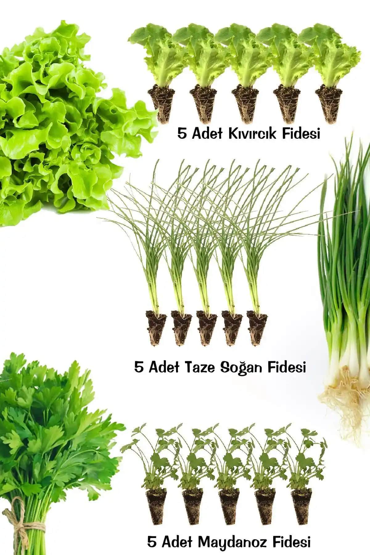 Gardina Life Fide Seti: Çok Mevsim Kullanımlı Bahçe ve İç Mekan Yeşillikleri