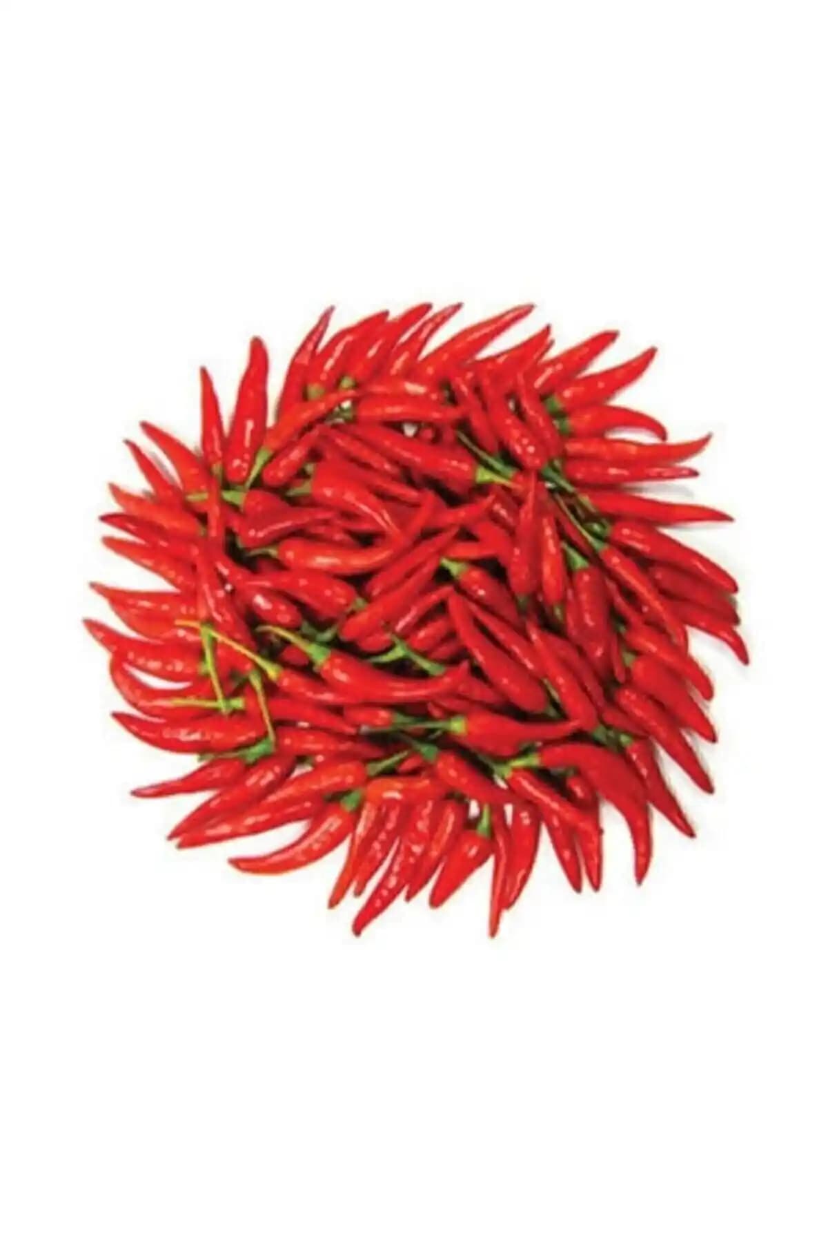 Genel Markalar Ithal Çok Acı Macar Biberi Tohumu: Yüksek Çimlenme Oranı ve Ekimi İçin Rehber