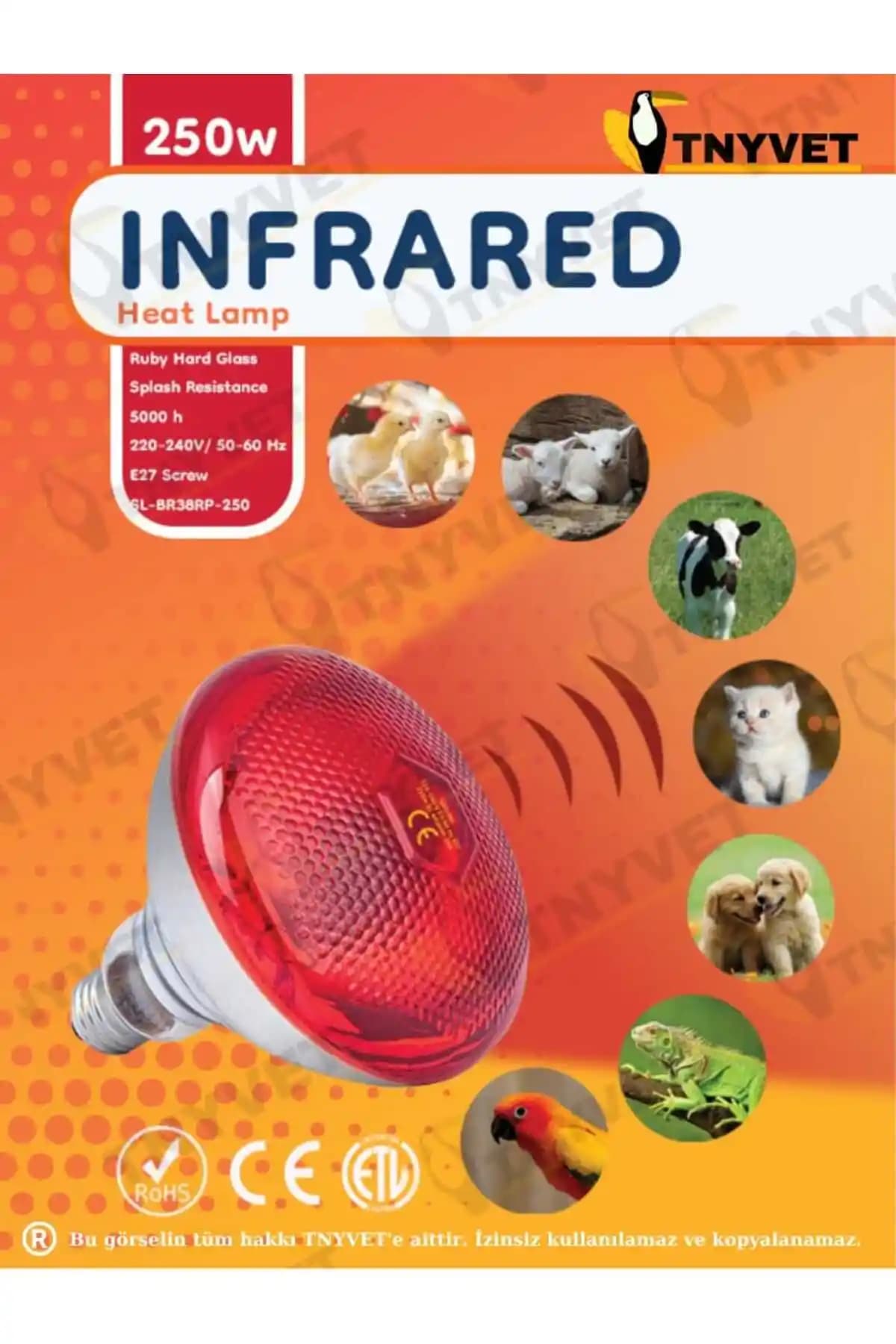 Infrared Isıtıcı Lambalar: Güçlü Performans ve Güvenli Kullanım İpuçları