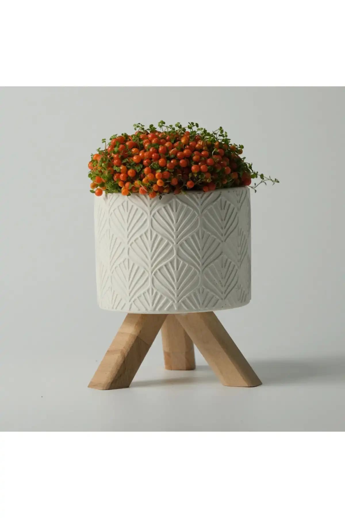 Kaju Creative Beyaz Beton Saksı Modern ve Dayanıklı İç Mekan Dekorasyonu İçin