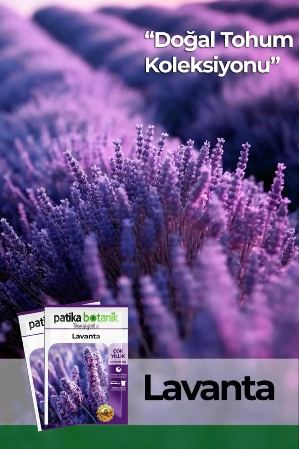 Patika Botanik Lavanta Tohumu 100 Adet Doğal Aromatik Bitki Yetiştirme Kılavuzu