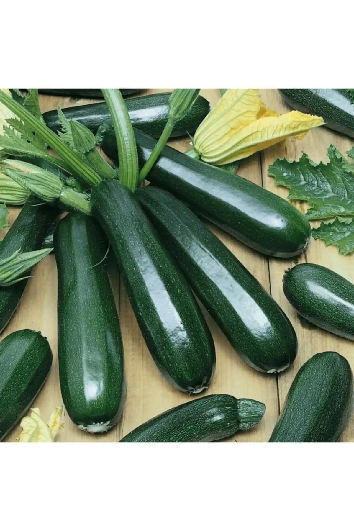 Yerli ve Doğal Dolmalık Siyah Kabak Tohumu - Sağlıklı ve Sürdürülebilir Tarım İçin