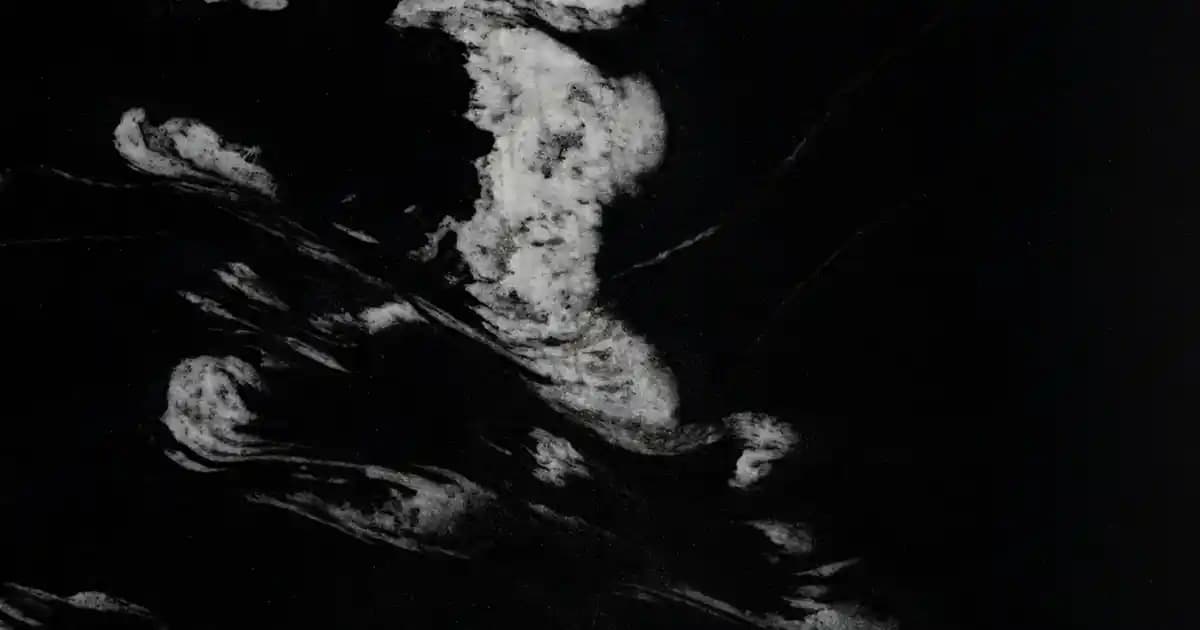 Apt2B Performans Kadife ve Mikrofiber Kumaşlar: Evcil Hayvan Dostu Mobilya Seçenekleri