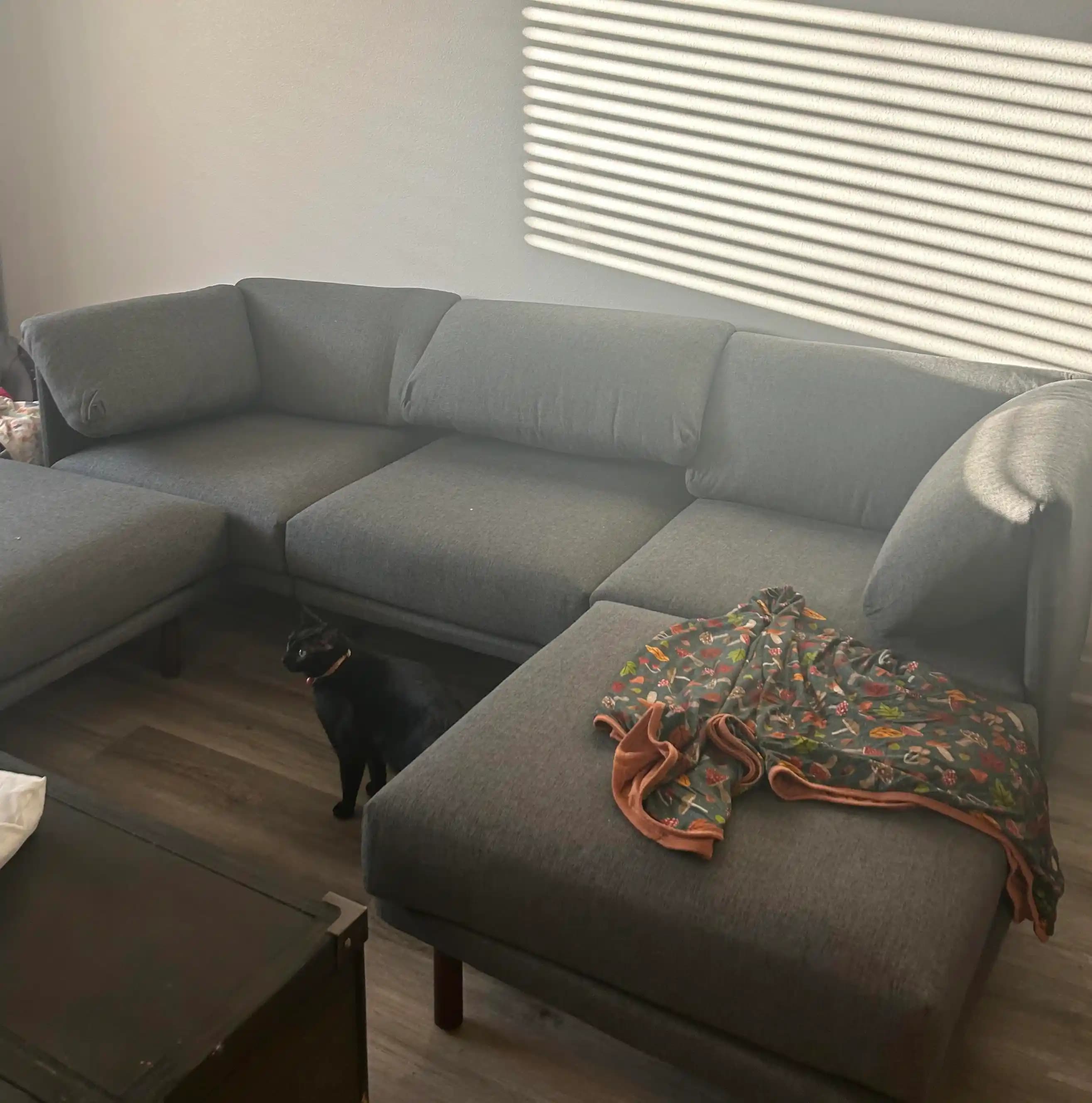 Burrow Mobilya Nakliye, Kalite ve Müşteri Hizmetleri Üzerine Detaylı İnceleme