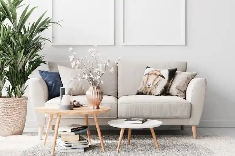 Dayanıklı ve Konforlu Kanepe Seçimi İçin Teknik Detaylar ve Marka Önerileri