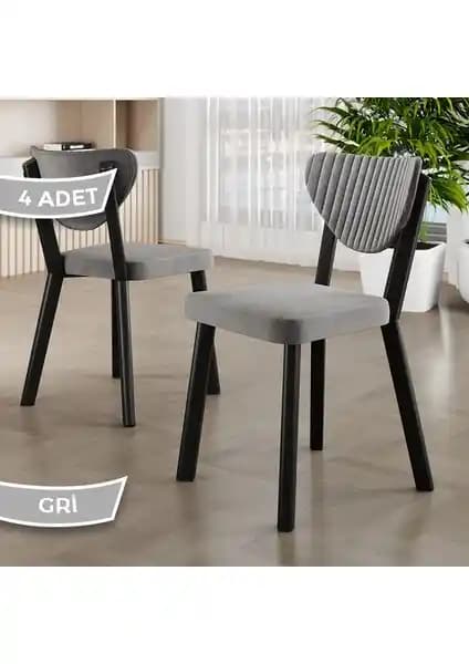 Canisa Arfe Serisi Modern ve Dayanıklı Mutfak Sandalyesi Seti 4 Adet