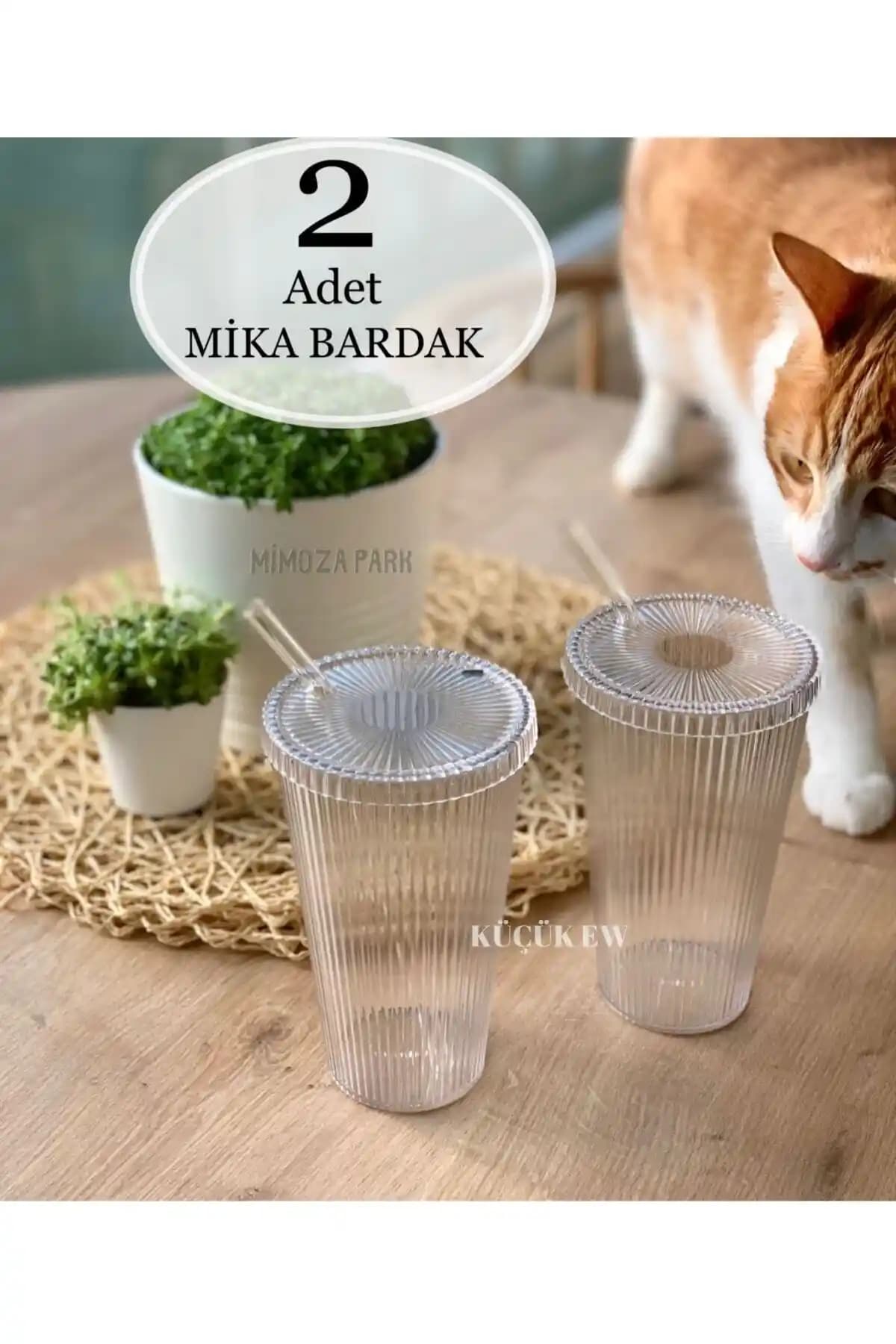 Genel Markalar Mika 2 Adet 600 ml Kapaklı Pipetli Origami Stil Mika Bardak