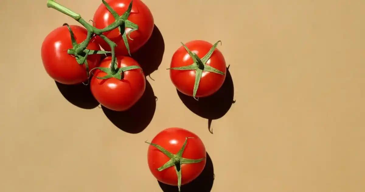 Aliexpress'ten Mobilya ve Ev Dekorasyonu Ürünleri Alırken Dikkat Edilmesi Gerekenler