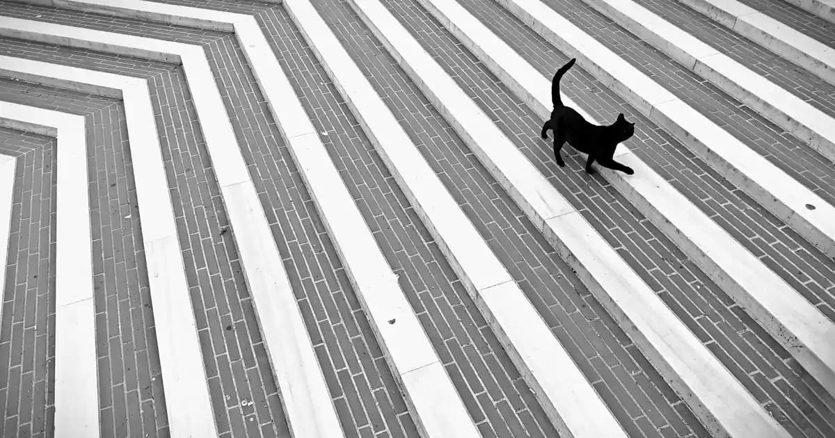 Banyo Dolabı Kurulumu İçin Temel Bilgiler ve Uygulama Adımları