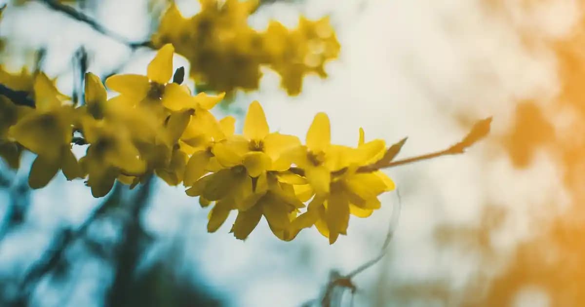 Bebek Yatakları: Güvenli ve Konforlu Uyku İçin Doğru Seçenekler ve Öneriler