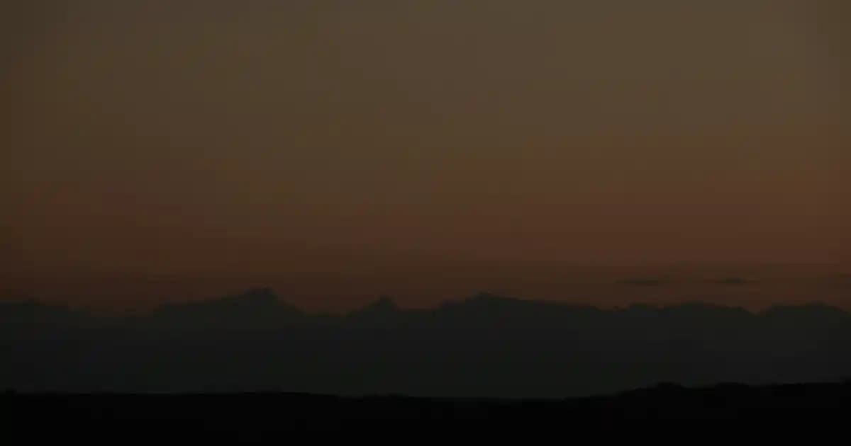 Defne Fidanlarının Ekolojik ve Estetik Değerleri Sürdürülebilir Şehirler İçin Önemli Bir Seçenek