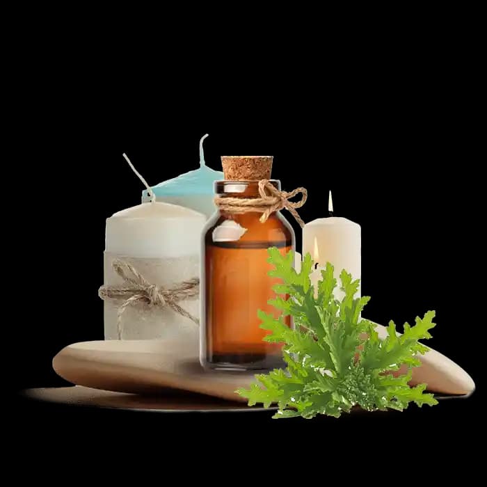 Ev Dekorasyonunda Mum ve Citronella Esansı ile Doğal ve Ferah Bir Atmosfer Yaratma Rehberi