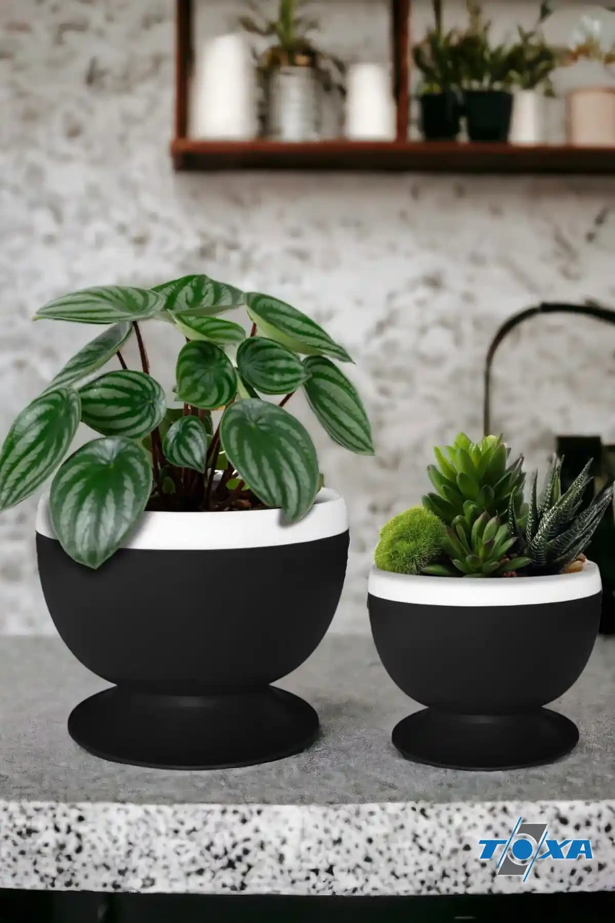 Güveç Saksılar: Doğal ve Estetik Bitki Sunumu İçin Uygun Seçenekler ve Bakım İpuçları