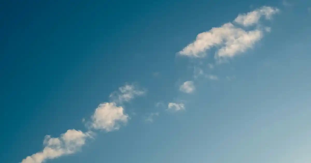 Halı Şampuanları: Derinlemesine Temizlik ve Uzun Ömür İçin En İyi Çözümler