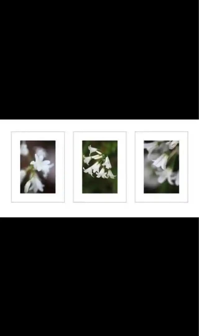 IKEA'nın 3'lü Çiçekli Dekoratif Ürünleri ile Ev Dekorasyonunda Uygun Fiyatlı Çözüm