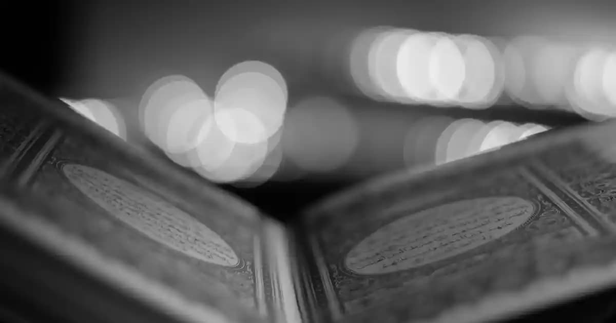 IKEA'nın Tabak Çeşitleri ve Ev Dekorasyonundaki Rolü Hakkında Detaylı Bilgi