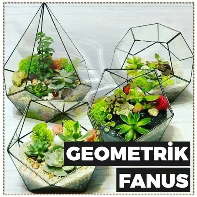 IKEA Teraryum Malzemeleri ve Yapım Rehberi: Adım Adım Dekorasyon İpuçları