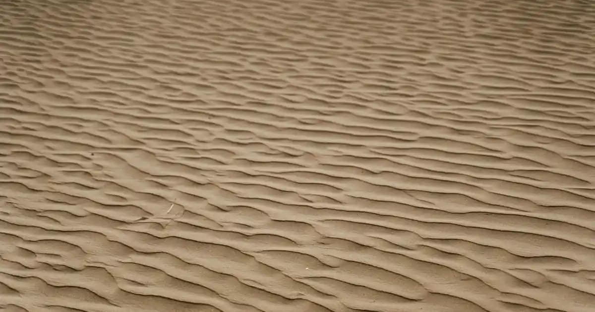 Lui Tasarım ve İskandinav Tarzı Seramik Vazolar Modern İç Mekan Dekorasyonunda Şıklık