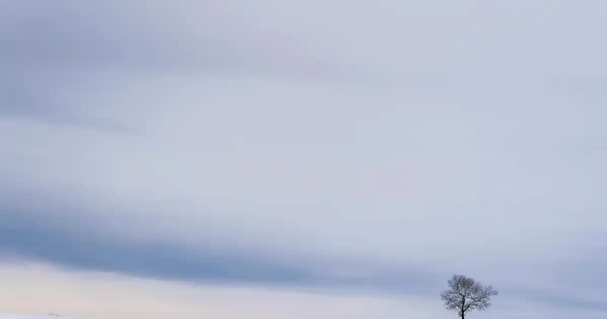 Petek Kaplama Ahşap ile Estetik ve Fonksiyonel İç Mekan Dekorasyonu Çözümleri