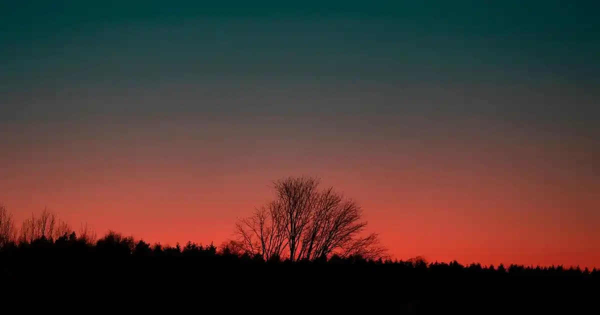 Petek Üstü Raf ve Modern Isıtma Çözümleriyle Ev Dekorasyonunu Geliştirme