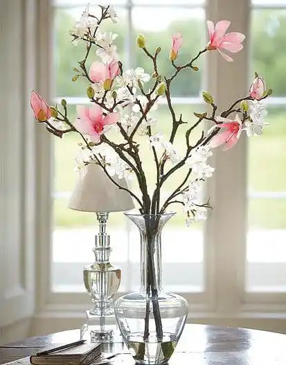 Vazonun Özellikleri ve Dekorasyondaki Rolü: Malzeme, Tasarım ve Kullanım Alanları