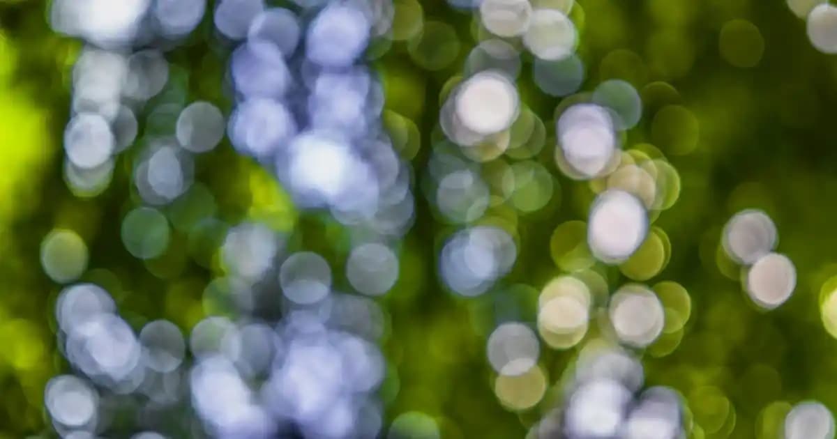 WDM Kasa Bankosu ve Banko Masa: Çeşitli Tasarım ve Kullanım Alanlarıyla Modern Çözümler