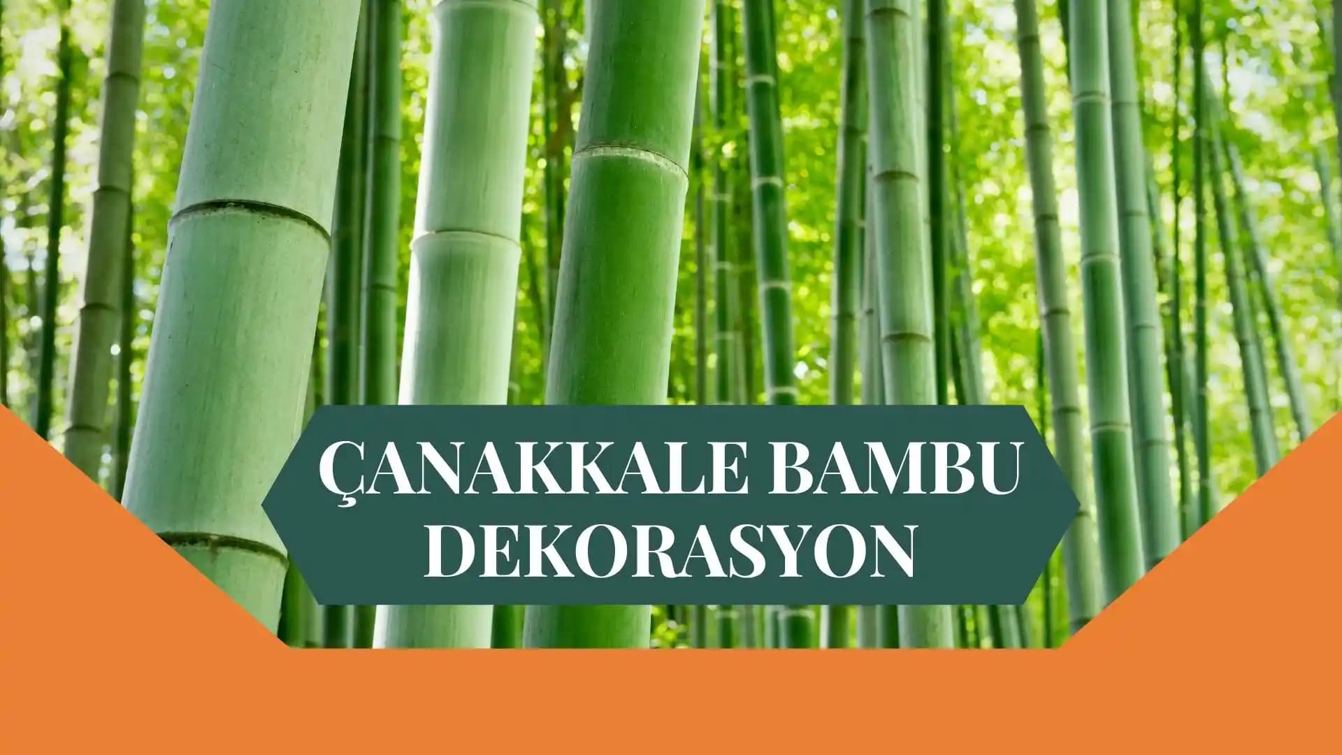 Bambu Yağı ile Doğal ve Sürdürülebilir İç Mekan Dekorasyonu Yöntemleri ve Fırsatları