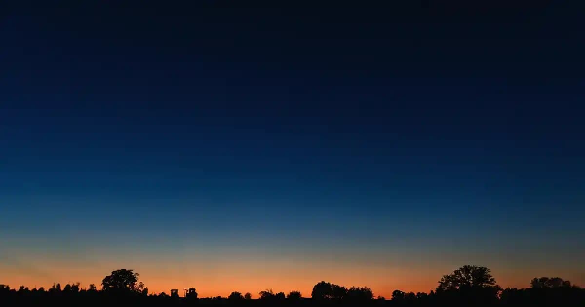 Ev Dekorasyonunda Güllerin Anlamı ve Kullanım Teknikleri Hakkında Kapsamlı Rehber