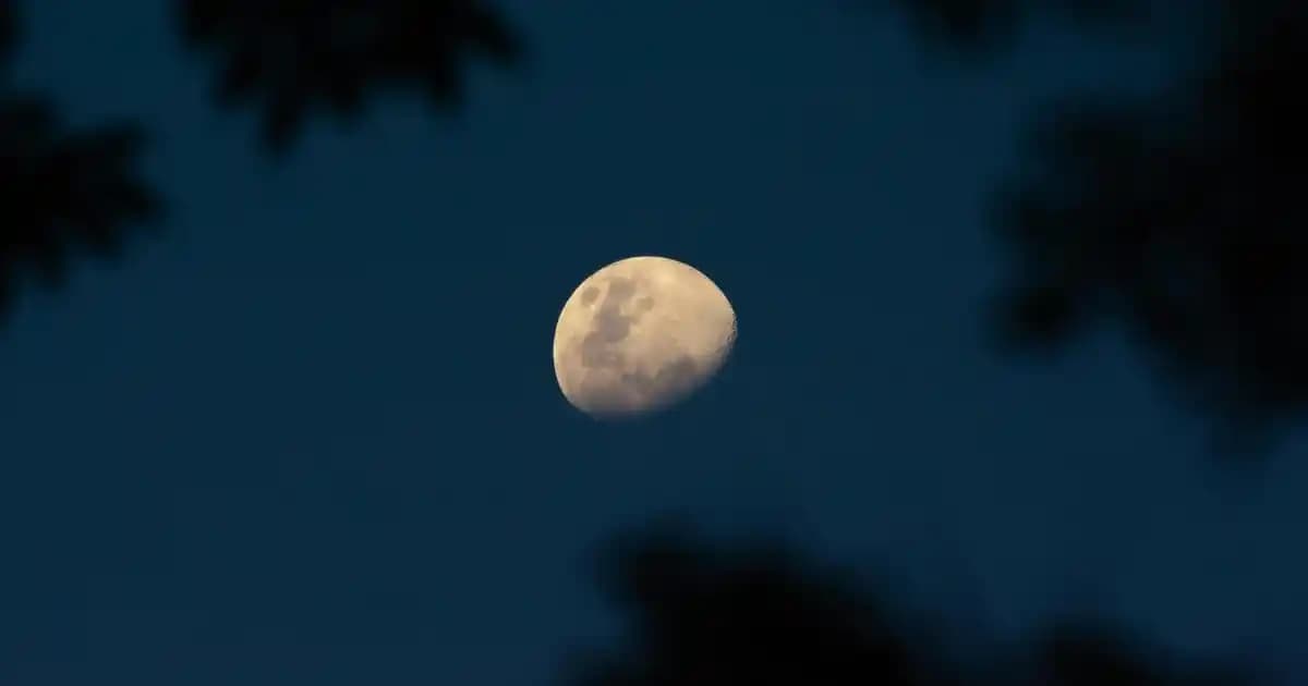 155x215 Nevresim Ölçüsü ile Yatak Odası Dekorasyonunda Şıklık ve Konforun Anahtarları