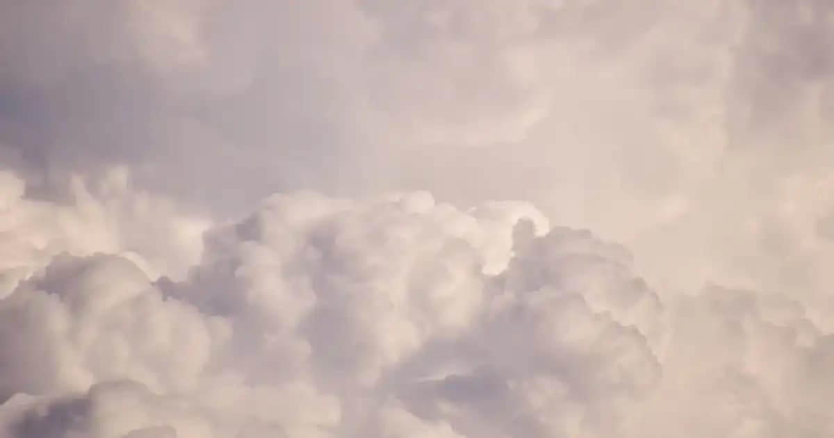Ahşap Kahve Sunum Tabağıyla Dekorasyonda Doğal ve Şık Bir Atmosfer Yaratın