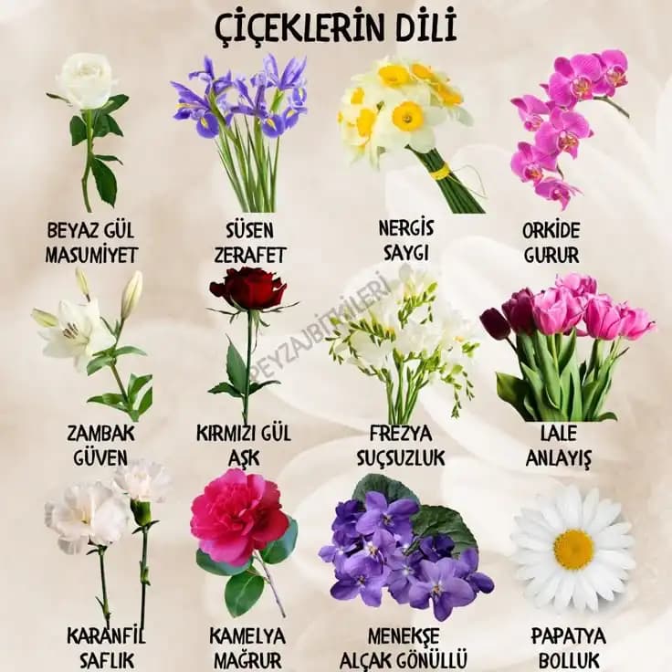 Anlamı Olan Çiçekler ve Sembolik Değerleriyle Dekorasyon İpuçları