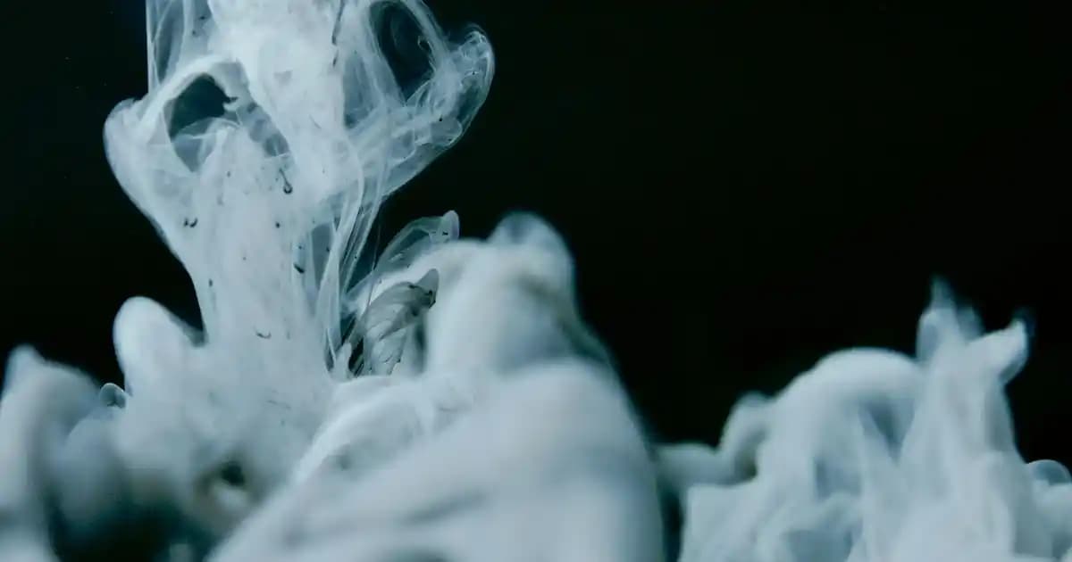 2025'te Banyonuzu Canlandıracak 5 Yapay Çiçek Sırrı