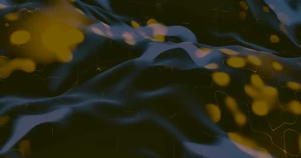 Bellona Tek Kişilik Uyku Setleri ile Yatak Odası Dekorasyonunda Konfor ve Estetik Sağlama