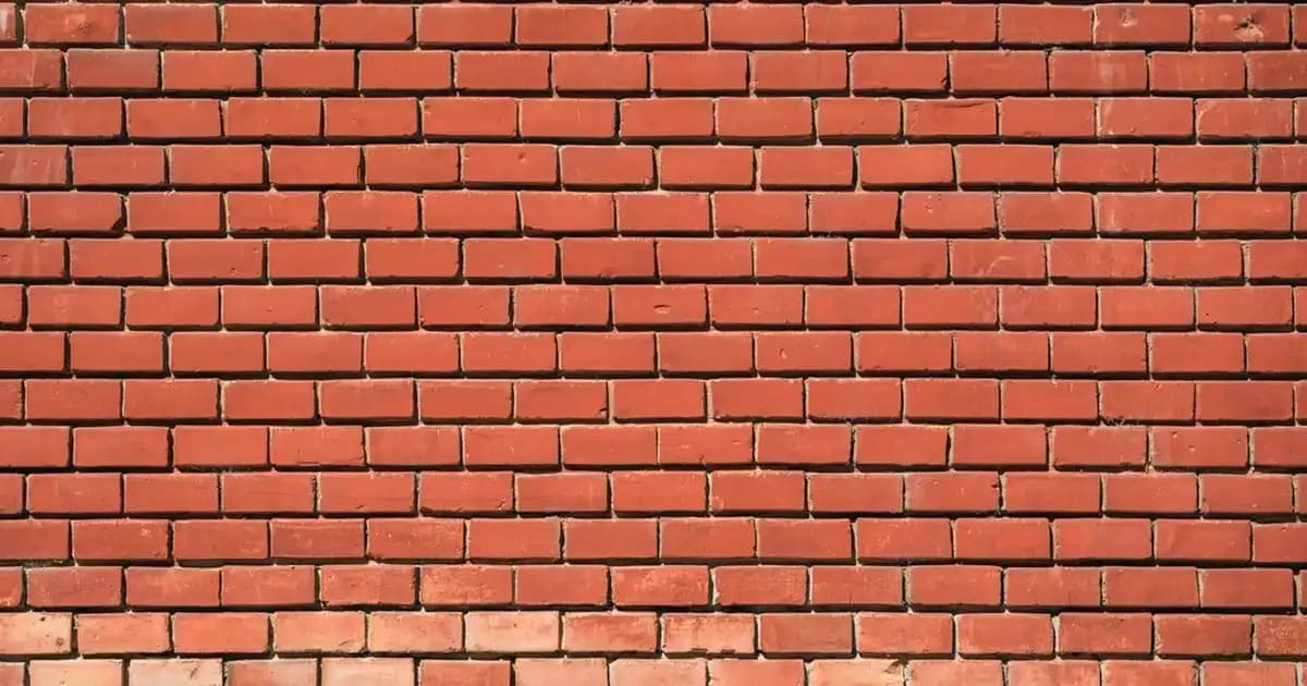 Bim Kek Fanusu Seçenekleri ve Dekorasyonda Kullanım İpuçları