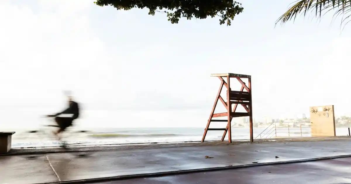 Cam Pamuklukların Dekorasyonda Estetik ve Fonksiyonellik Sağlayan Kullanım Alanları