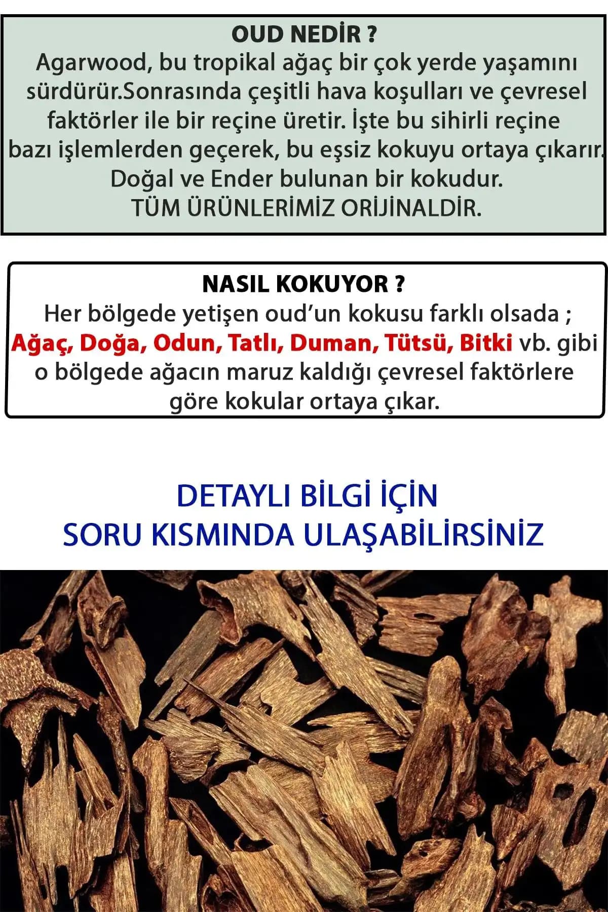 Dekorasyonda Doğal Koku Kullanımıyla Ev Atmosferinizi Geliştirin