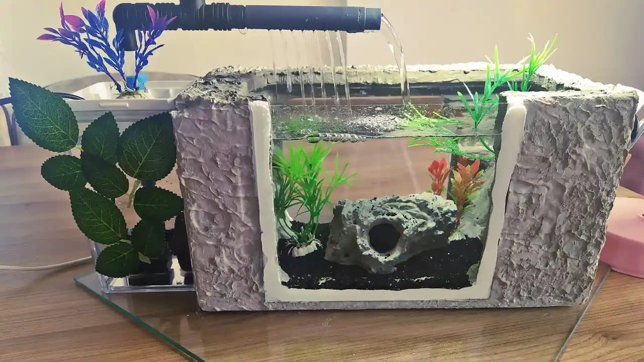 Dekoratif Akvaryumlar ile Evinize Estetik ve Doğal Bir Dokunuş Yaratın